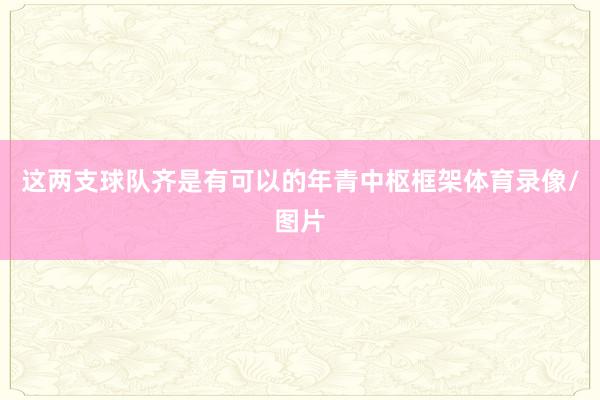这两支球队齐是有可以的年青中枢框架体育录像/图片