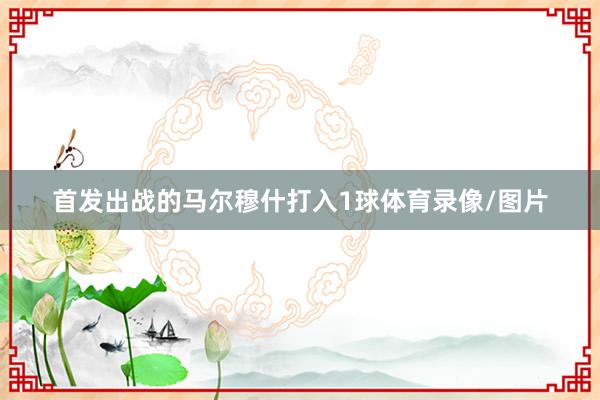 首发出战的马尔穆什打入1球体育录像/图片