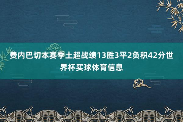 费内巴切本赛季土超战绩13胜3平2负积42分世界杯买球体育信息
