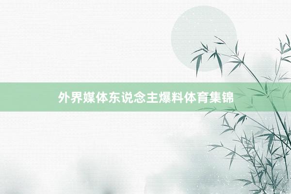外界媒体东说念主爆料体育集锦
