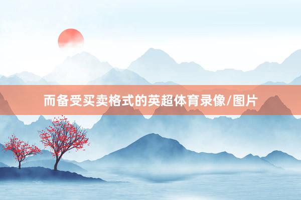 而备受买卖格式的英超体育录像/图片