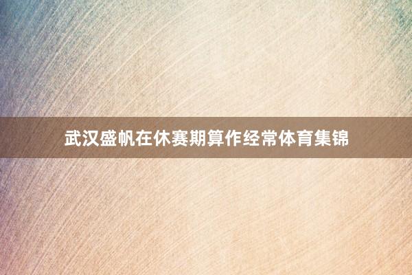 武汉盛帆在休赛期算作经常体育集锦