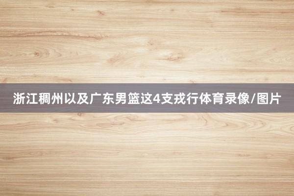 浙江稠州以及广东男篮这4支戎行体育录像/图片