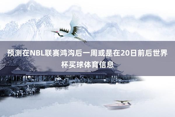 预测在NBL联赛鸿沟后一周或是在20日前后世界杯买球体育信息