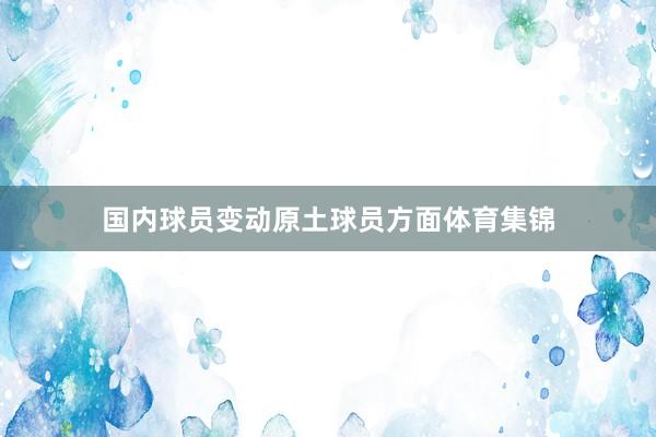 国内球员变动原土球员方面体育集锦