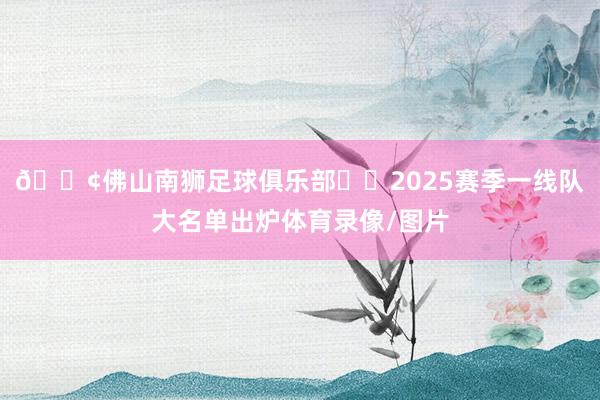 📢佛山南狮足球俱乐部⚽️2025赛季一线队大名单出炉体育录像/图片