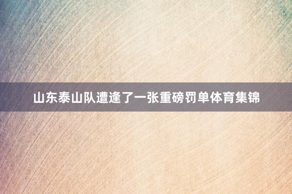 山东泰山队遭逢了一张重磅罚单体育集锦