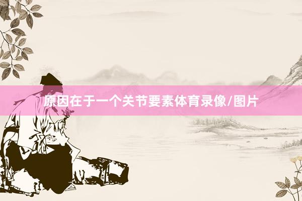原因在于一个关节要素体育录像/图片