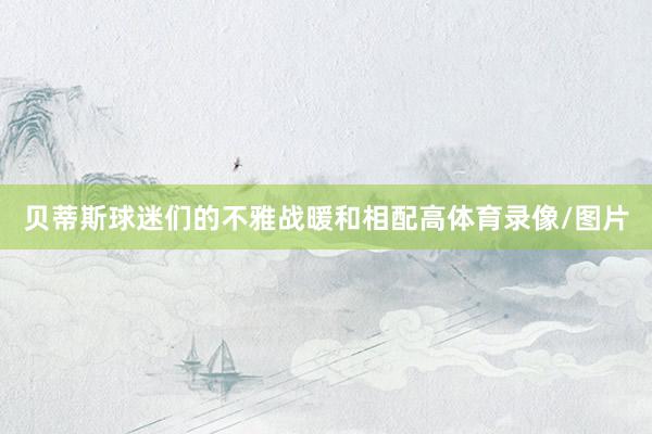 贝蒂斯球迷们的不雅战暖和相配高体育录像/图片