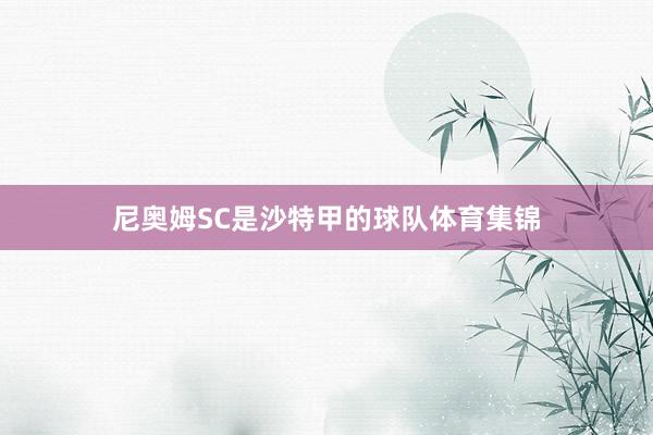 尼奥姆SC是沙特甲的球队体育集锦