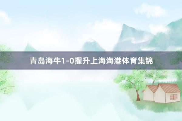 青岛海牛1-0擢升上海海港体育集锦