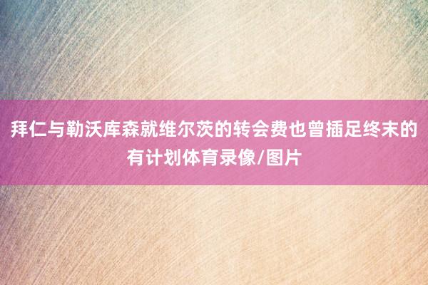 拜仁与勒沃库森就维尔茨的转会费也曾插足终末的有计划体育录像/图片