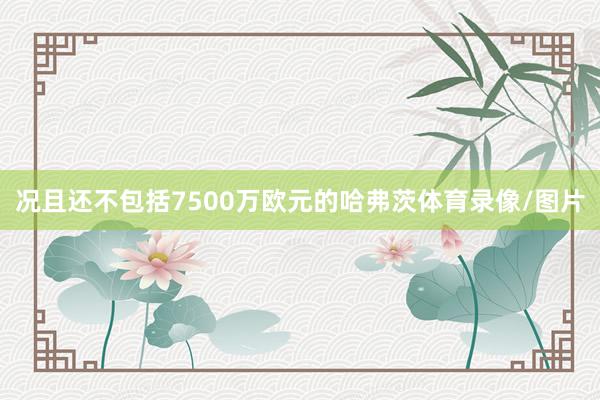 况且还不包括7500万欧元的哈弗茨体育录像/图片
