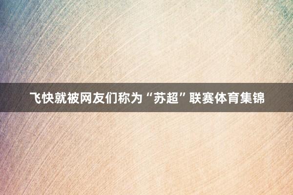飞快就被网友们称为“苏超”联赛体育集锦