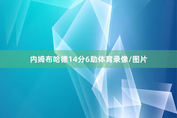 内姆布哈德14分6助体育录像/图片