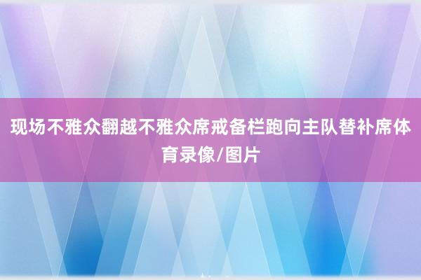 现场不雅众翻越不雅众席戒备栏跑向主队替补席体育录像/图片