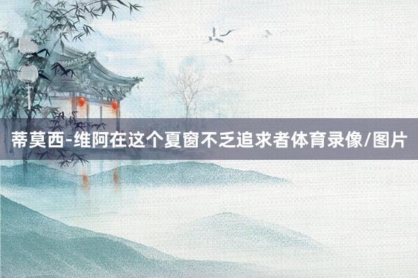 蒂莫西-维阿在这个夏窗不乏追求者体育录像/图片