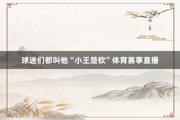 球迷们都叫他“小王楚钦”体育赛事直播