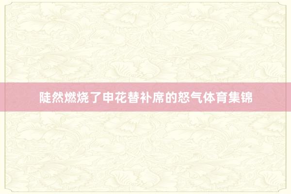 陡然燃烧了申花替补席的怒气体育集锦