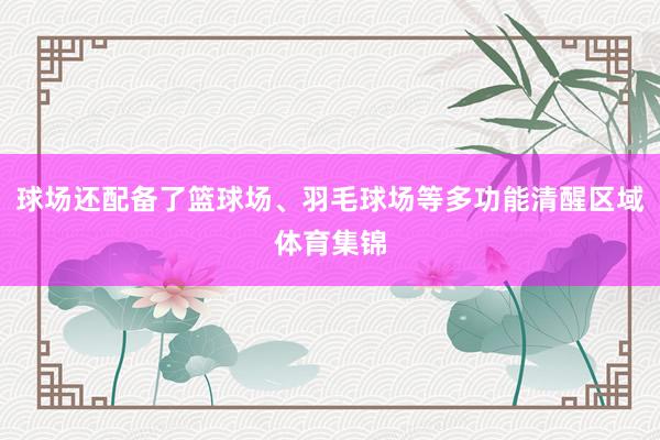 球场还配备了篮球场、羽毛球场等多功能清醒区域体育集锦