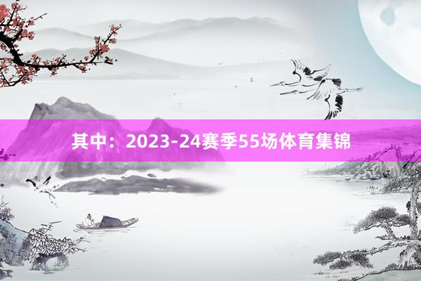 其中：2023-24赛季55场体育集锦