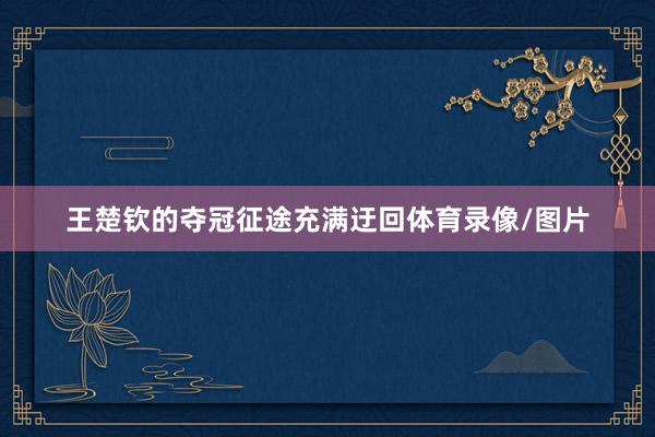 王楚钦的夺冠征途充满迂回体育录像/图片