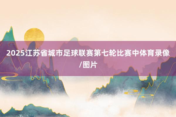 2025江苏省城市足球联赛第七轮比赛中体育录像/图片