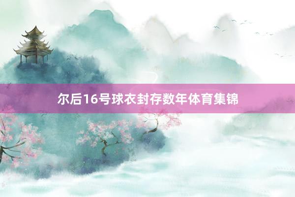尔后16号球衣封存数年体育集锦
