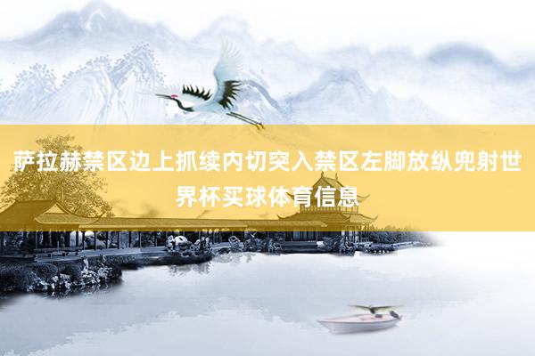 萨拉赫禁区边上抓续内切突入禁区左脚放纵兜射世界杯买球体育信息