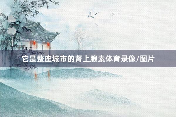 它是整座城市的肾上腺素体育录像/图片