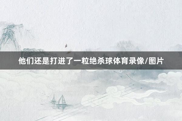 他们还是打进了一粒绝杀球体育录像/图片