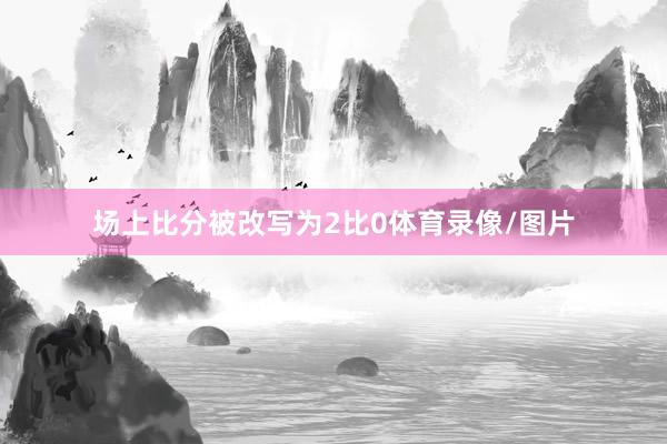 场上比分被改写为2比0体育录像/图片