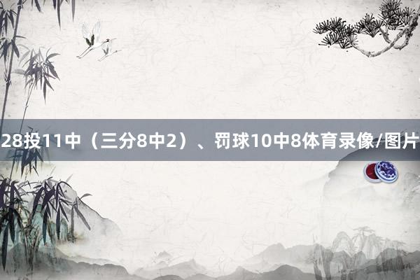 28投11中（三分8中2）、罚球10中8体育录像/图片