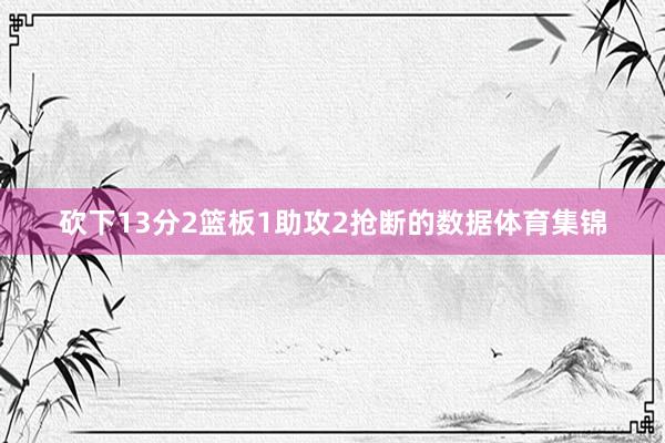 砍下13分2篮板1助攻2抢断的数据体育集锦