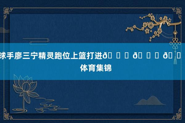 接球手廖三宁精灵跑位上篮打进😍😍😍    体育集锦