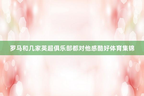罗马和几家英超俱乐部都对他感酷好体育集锦