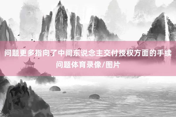 问题更多指向了中间东说念主交付授权方面的手续问题体育录像/图片
