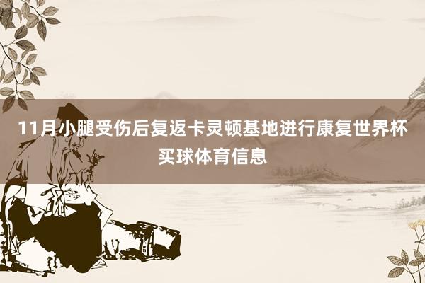 11月小腿受伤后复返卡灵顿基地进行康复世界杯买球体育信息