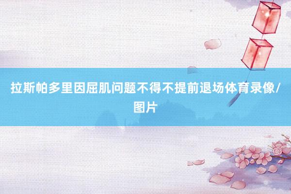 拉斯帕多里因屈肌问题不得不提前退场体育录像/图片
