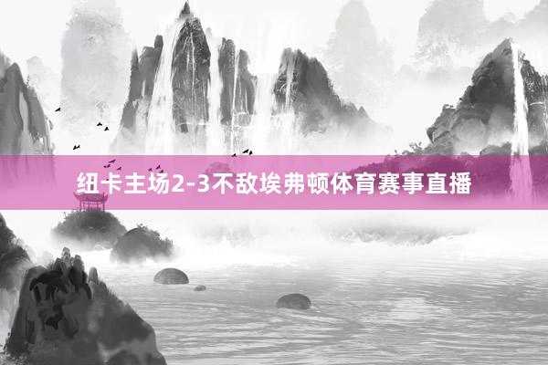 纽卡主场2-3不敌埃弗顿体育赛事直播