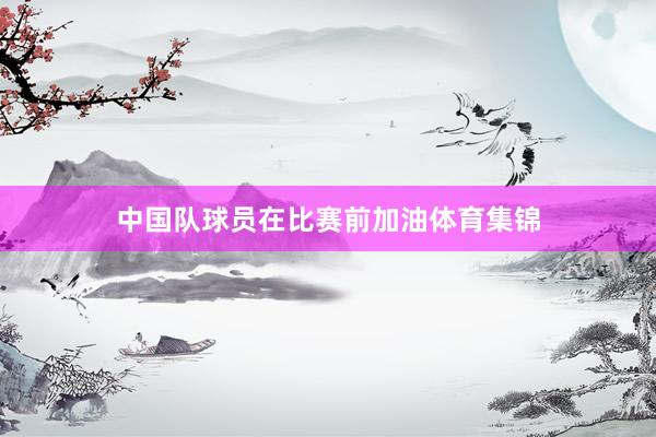 中国队球员在比赛前加油体育集锦