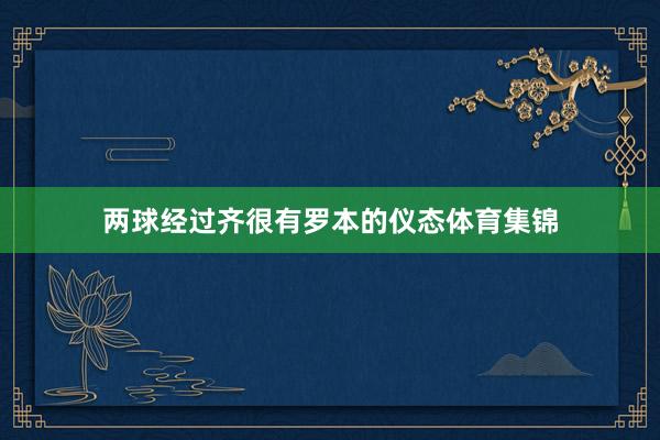 两球经过齐很有罗本的仪态体育集锦
