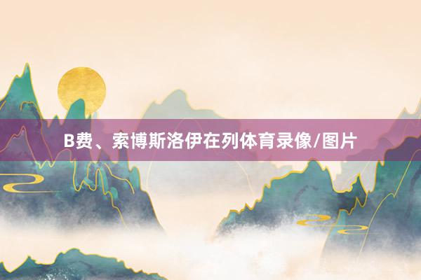 B费、索博斯洛伊在列体育录像/图片