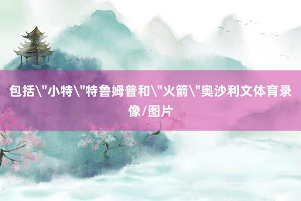 包括