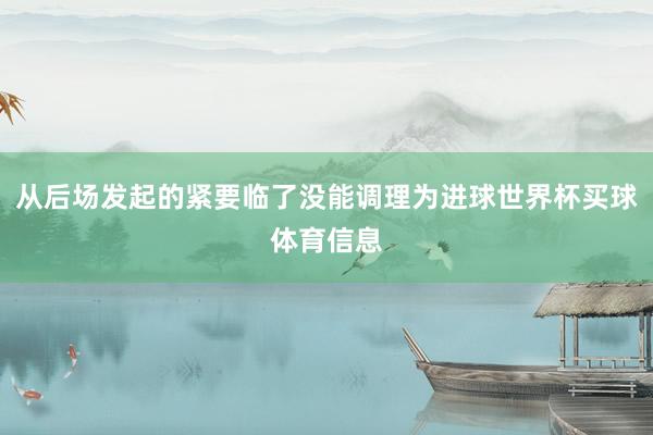 从后场发起的紧要临了没能调理为进球世界杯买球体育信息