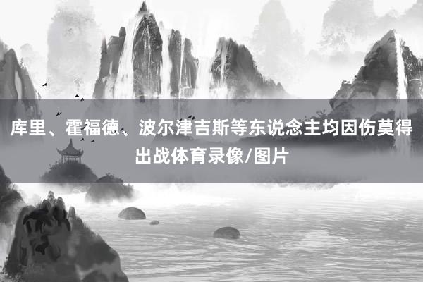 库里、霍福德、波尔津吉斯等东说念主均因伤莫得出战体育录像/图片
