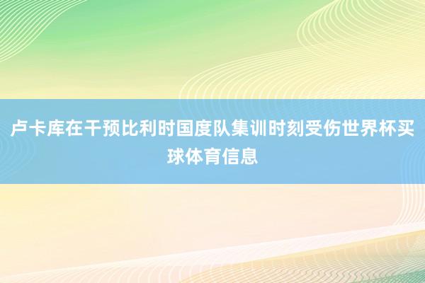 卢卡库在干预比利时国度队集训时刻受伤世界杯买球体育信息