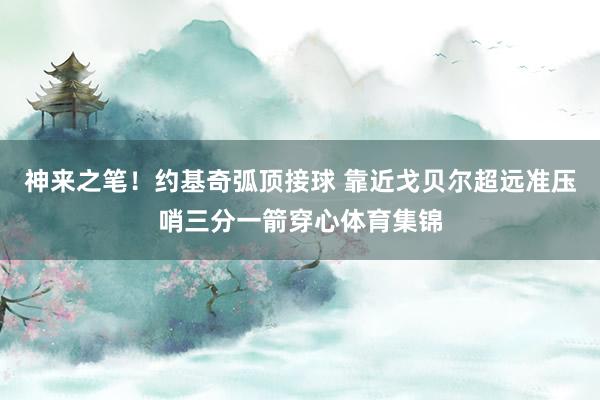 神来之笔！约基奇弧顶接球 靠近戈贝尔超远准压哨三分一箭穿心体育集锦