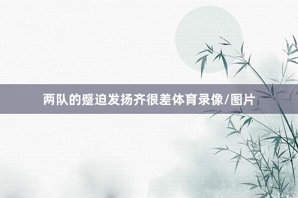 两队的蹙迫发扬齐很差体育录像/图片