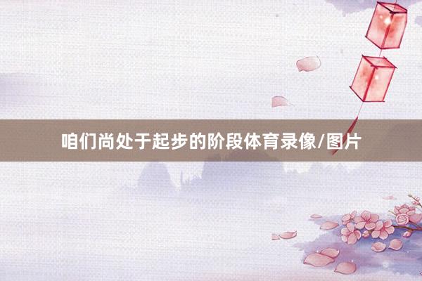 咱们尚处于起步的阶段体育录像/图片